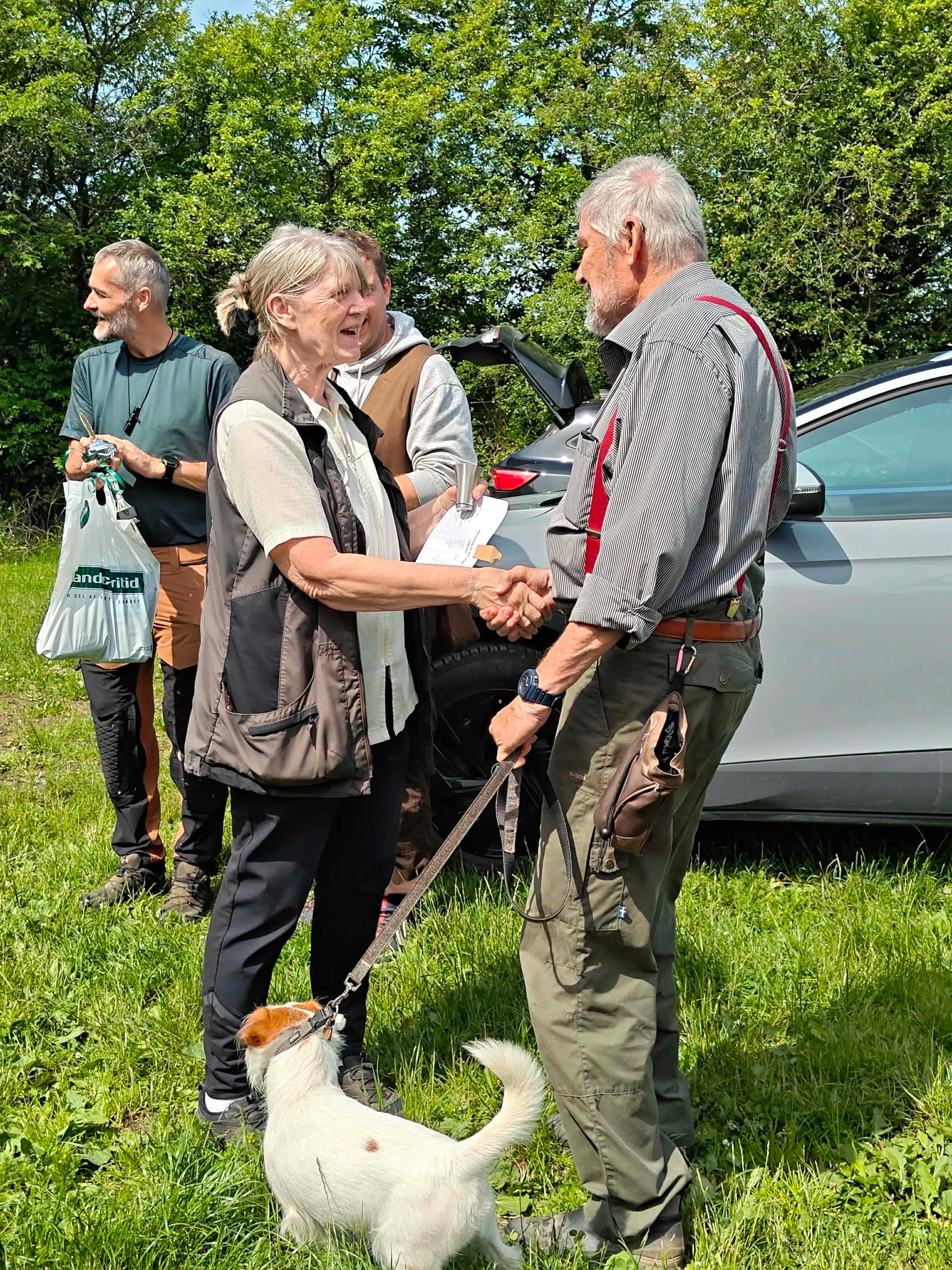 Image 12