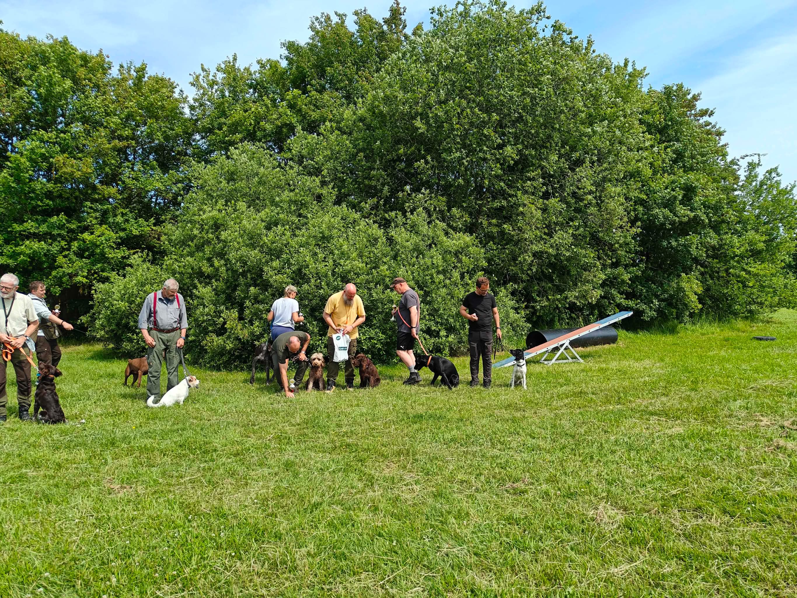 Image 16