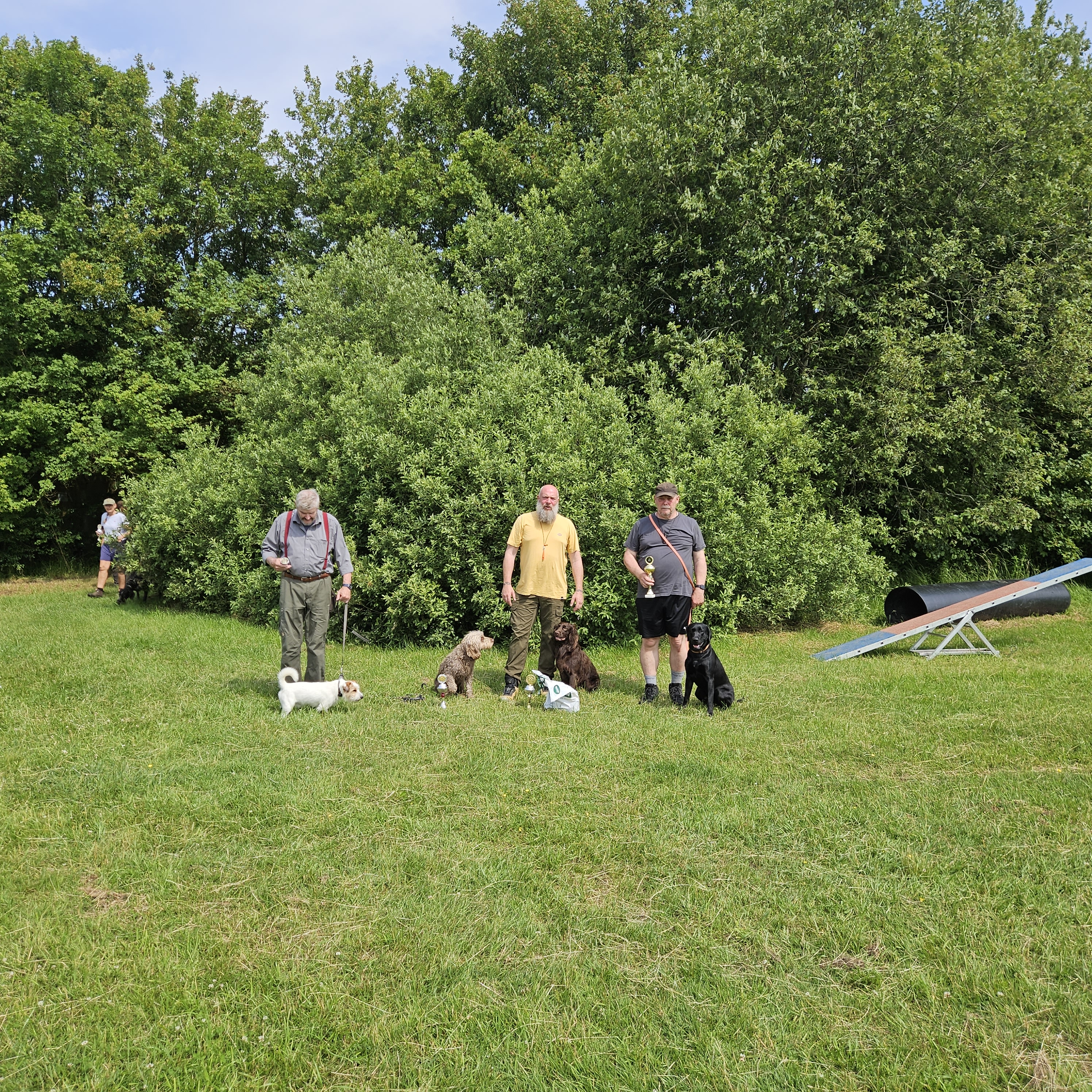 Image 6