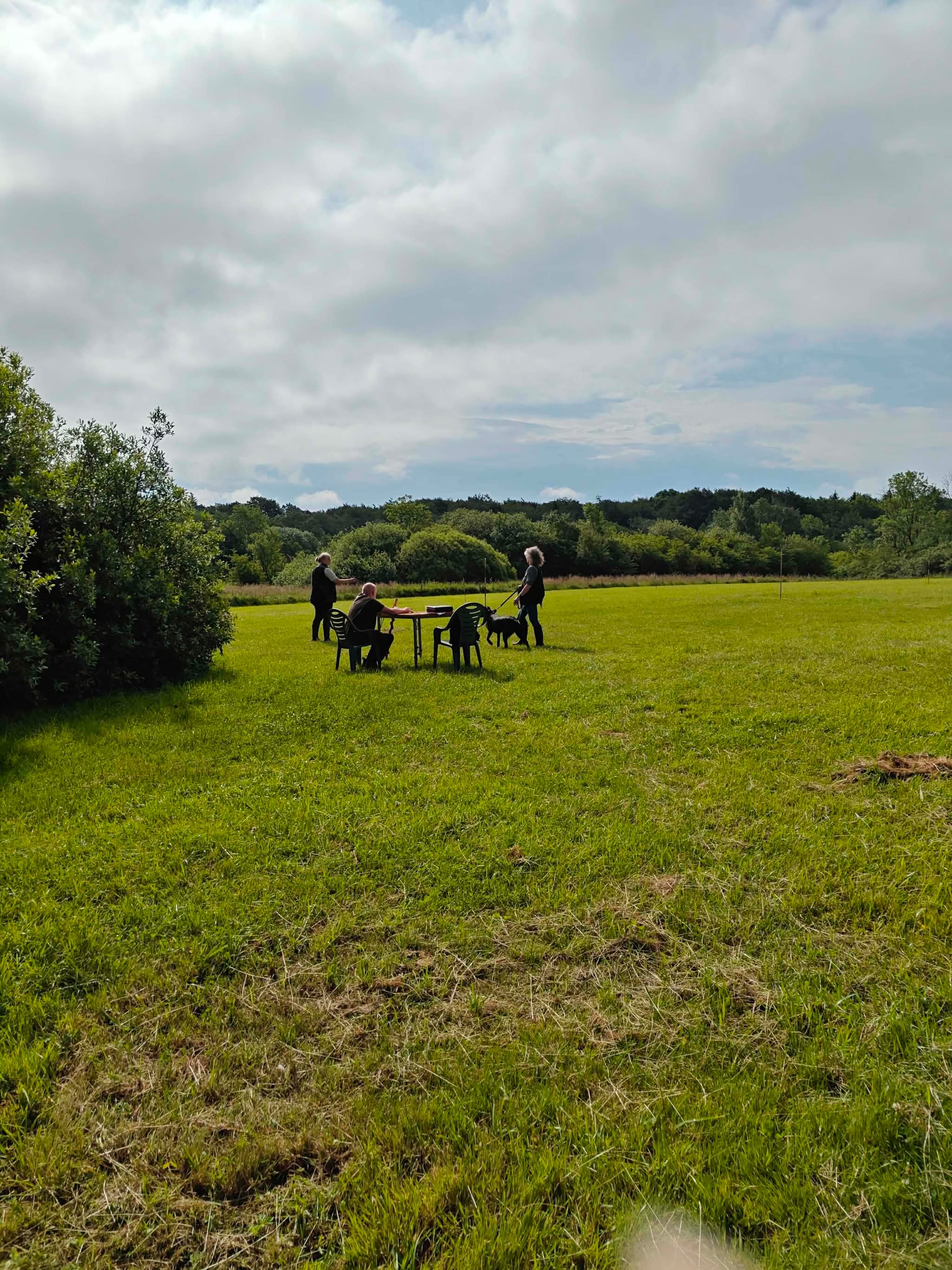 Image 15